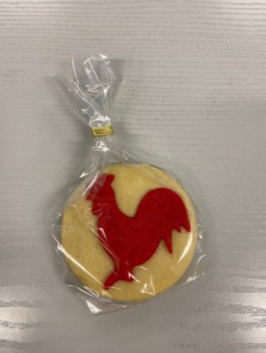 © Weihnachtliche Magistrale, Frankfurt (Oder)