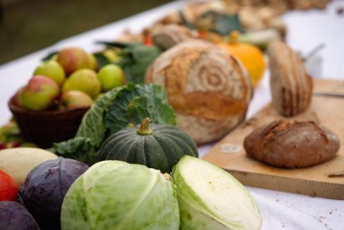 © Markttag 2022, Werneuchen