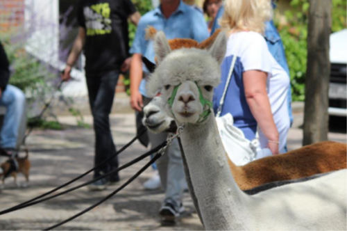 © Festspiele, Wittenberge